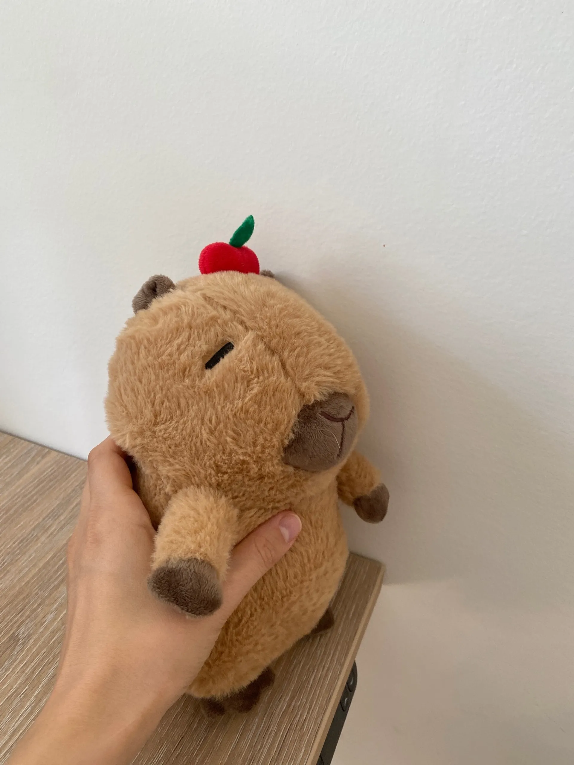 Всё, что связано с Capybara 