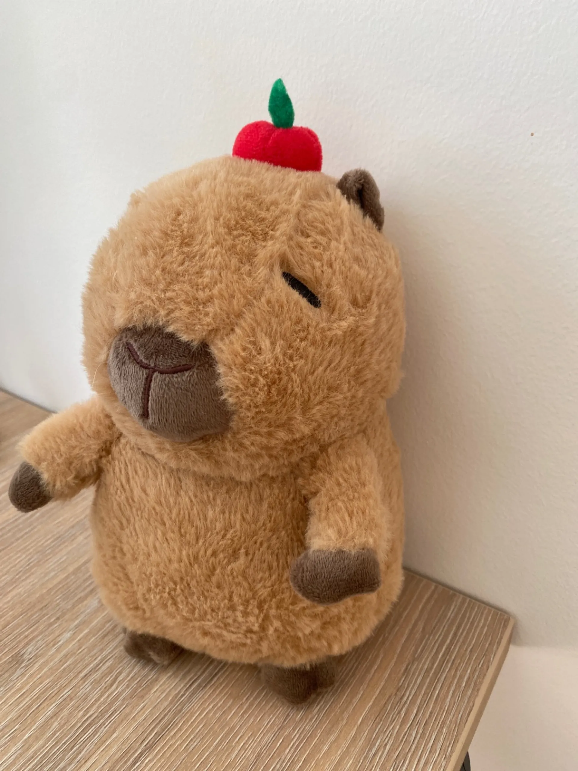 Всё, что связано с Capybara 