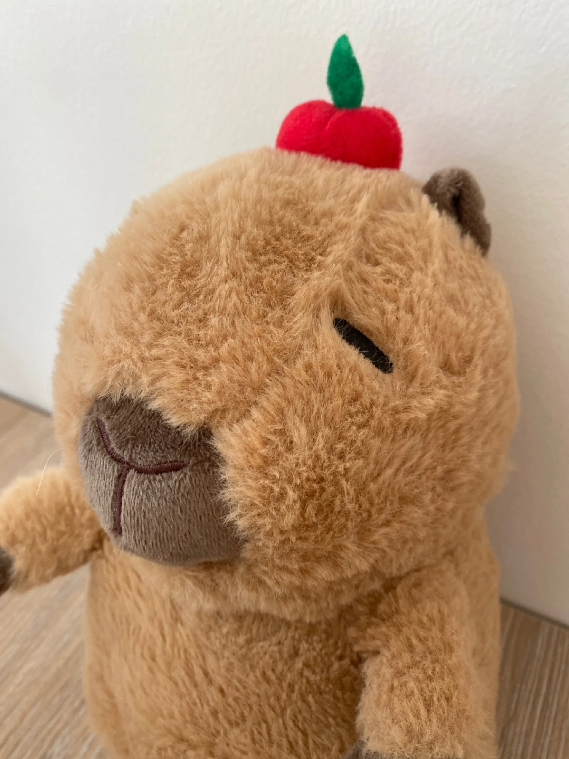 Всё, что связано с Capybara 